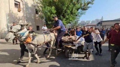 بی‌غیرتی حکام عرب